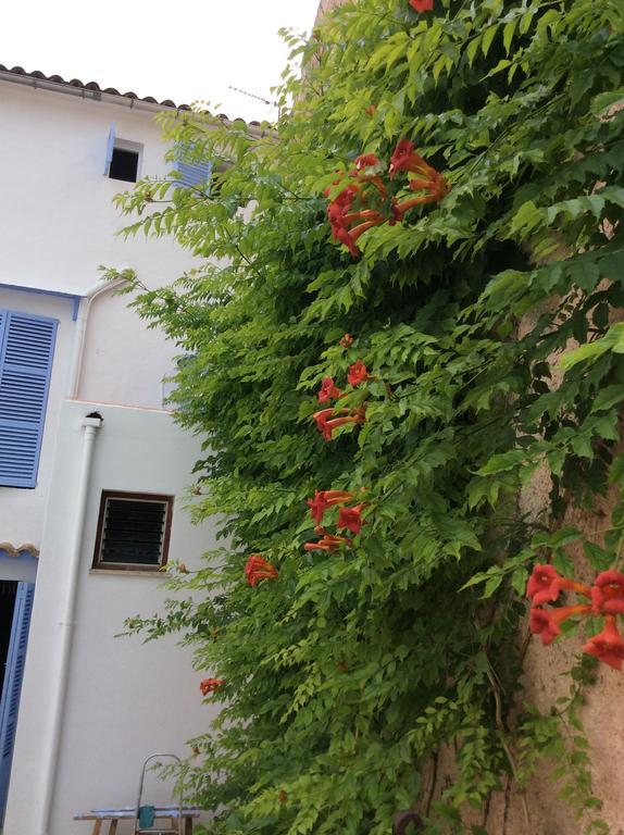 Ithaka Vacacional Otel Artá Dış mekan fotoğraf